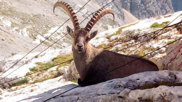 Cortina: Tour of Dolomites Unesco - Frequently Asked Questions