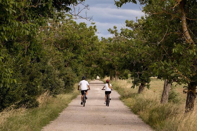 Cortona - Ebike Tour and Wine Tasting in the Val Di Chiana [40] - Common Questions