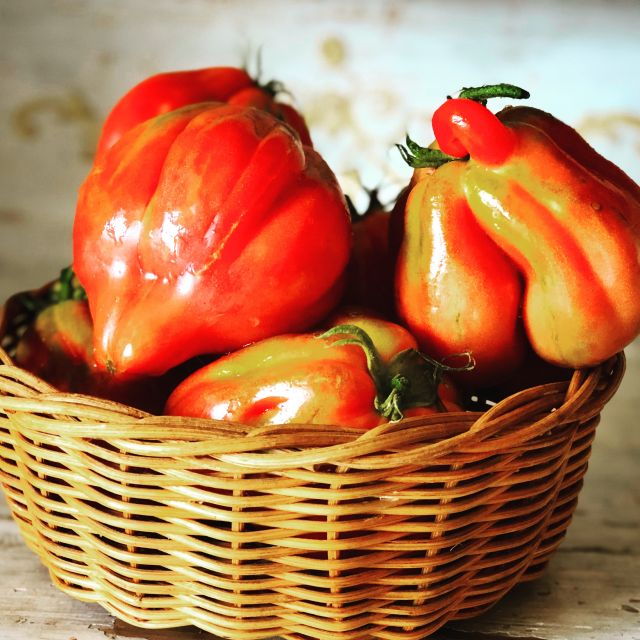 Cortona: Traditional Vegetarian or Vegan Italian Cooking - Cooking Class Overview