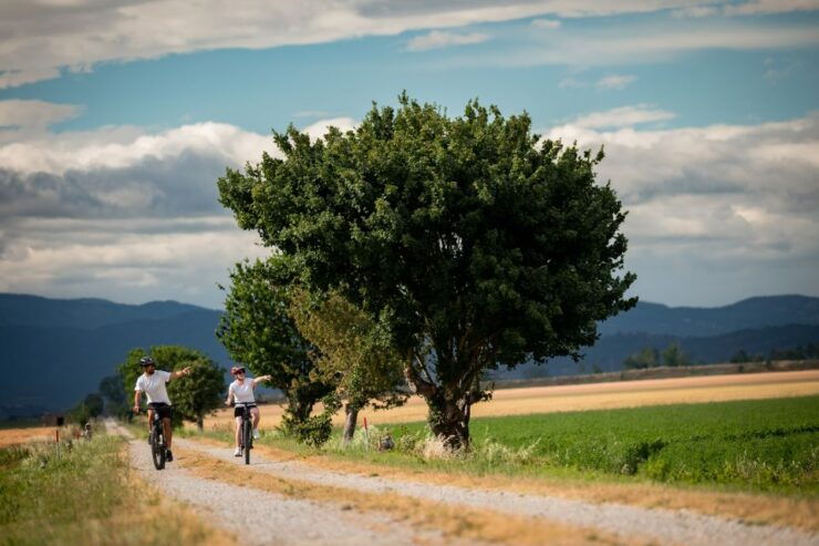 Cortona: Valdichiana Guided Ebike Tour Option Wine Tasting - Group Size and Cancellation Policy