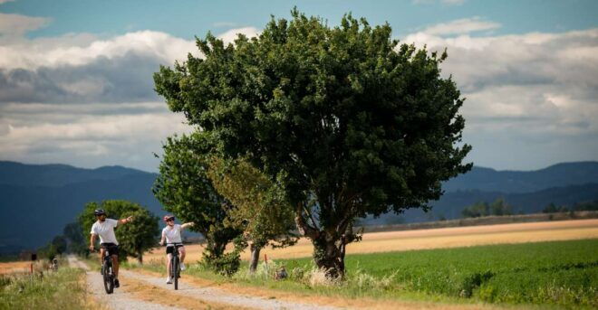 Cortona: Valdichiana Guided Ebike Tour Option Wine Tasting - Experience Highlights and Itinerary