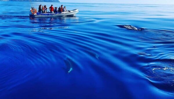 Corvo Boat Trip - What to Expect on the Boat Trip