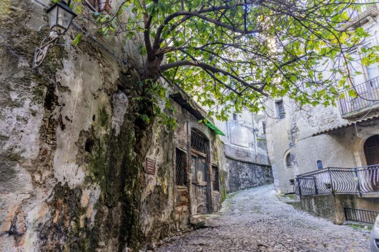 Cosenza: Audio Guide of the Historic Center - Booking Details