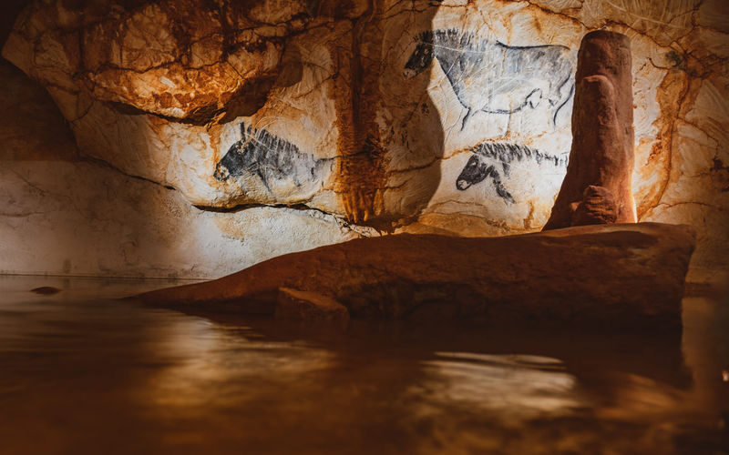 Cosquer Cave Ticket in Marseille - What to know before you book