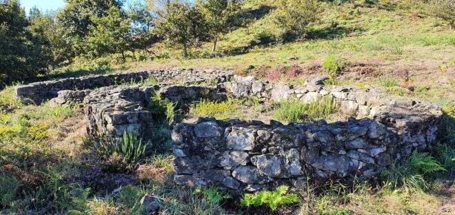 Cossourado: Iron Age Village Tour and Gastronomic Experience - Culinary Delights to Experience