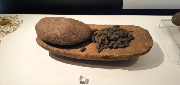 Cossourado: Iron Age Village Tour and Gastronomic Experience - Flexible Scheduling Options