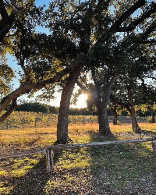 Cost-Effective Texas Hill Country Wine and Brewery Tour - Tour Details