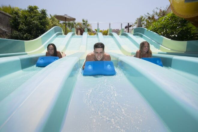 Costa Adeje: Aqualand Water Park Ticket With Dolphin Show - Review Details