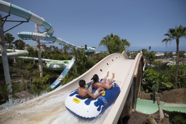 Costa Adeje: Aqualand Water Park Ticket With Dolphin Show - The Sum Up