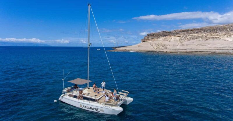Costa Adeje: Catamaran Tour, Snorkelling, Snacks & Drinks - Good To Know