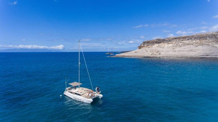 Costa Adeje: Catamaran Tour, Snorkelling, Snacks & Drinks - Scenic Views and Wildlife Spotting