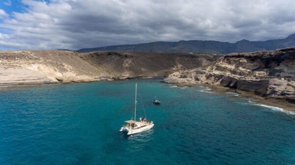 Costa Adeje: Catamaran Tour, Snorkelling, Snacks & Drinks - Booking Information