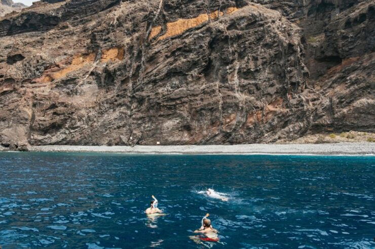 Costa Adeje: Dolphin & Whale Eco-Cruise With Snacks & Drinks - Activity Details