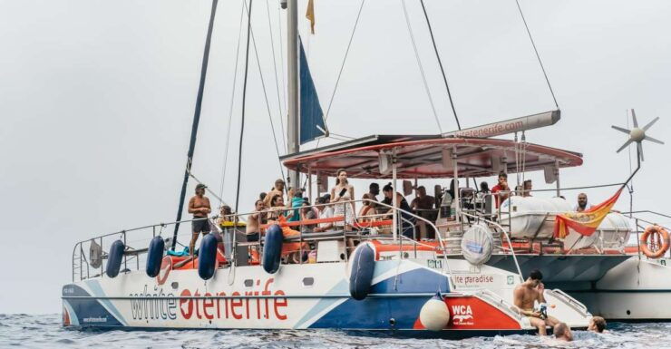 Costa Adeje: Dolphin & Whale Eco-Cruise With Snacks & Drinks - Experience