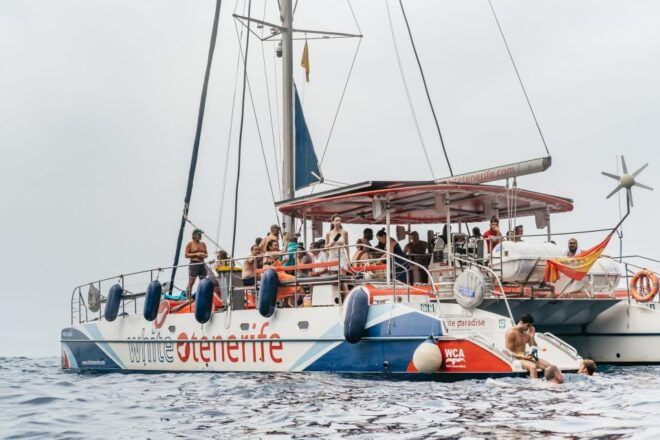 Costa Adeje: Dolphin & Whale Eco-Cruise With Snacks & Drinks - Full Description