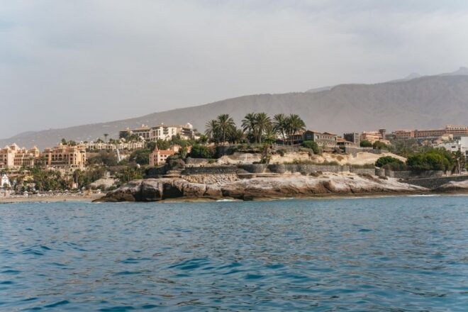 Costa Adeje: Dolphin & Whale Eco-Cruise With Snacks & Drinks - Review Summary
