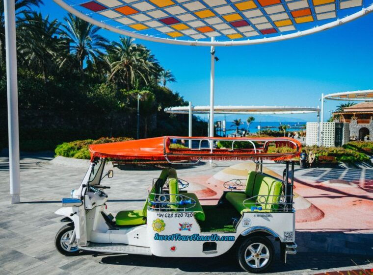Costa Adeje: Double Tuk Tuk Tour - Accessibility and Group Options