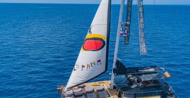 Costa Adeje: Masca and Los Gigantes Whale Watching Cruise - Spotting Whales and Dolphins
