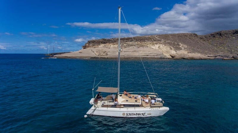Costa Adeje: Private Catamaran Tour 22 Persons Max - Why This Tour Offers Great Value