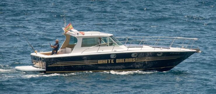 Costa Adeje: Private Whale and Dolphin Watching Tour - Experience Highlights