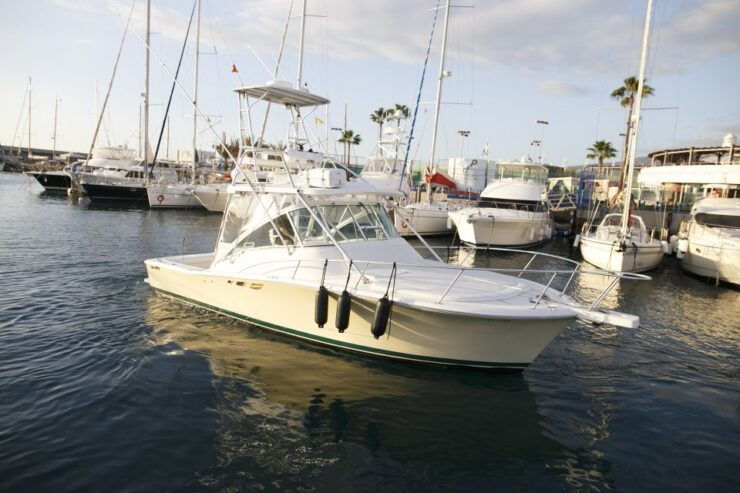 Costa Adeje: Private Yacht Sailing Tour From Puerto Colón - Booking Details