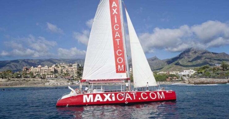 Costa Adeje: Whale and Dolphin Cruise With Food and Pickup - Activity Details