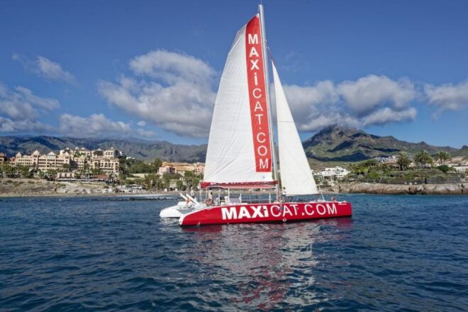 Costa Adeje: Whale and Dolphin Cruise With Food and Pickup - Directions
