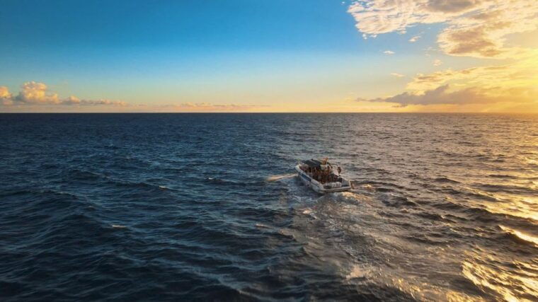 Costa Adeje: Whale and Dolphin-Watching Boat Excursion - Tour Details