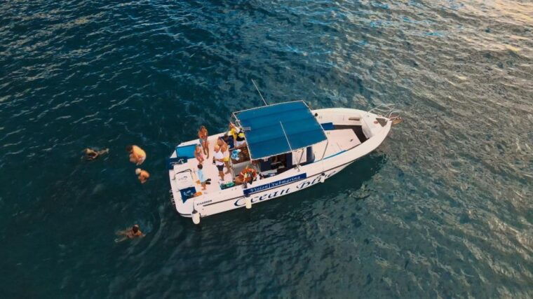 Costa Adeje: Whale and Dolphin-Watching Boat Excursion - Onboard Amenities