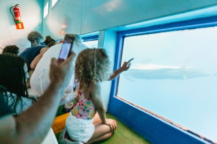 Costa Adeje: Whale & Dolphin Submarine Vision Mini Cruise - Activity Details