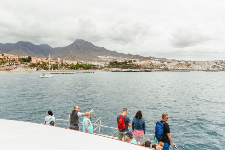 Costa Adeje: Whale & Dolphin Submarine Vision Mini Cruise - Experience