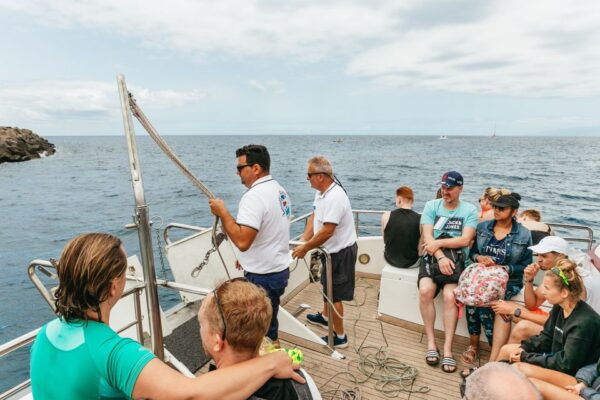 Costa Adeje: Whale & Dolphin Submarine Vision Mini Cruise - Common Questions