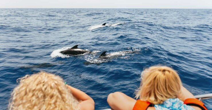 Costa Adeje: Whale Watching Catamaran Tour With Drinks - Booking Details