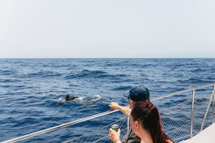 Costa Adeje: Whale Watching Catamaran Tour With Drinks - Experience Highlights