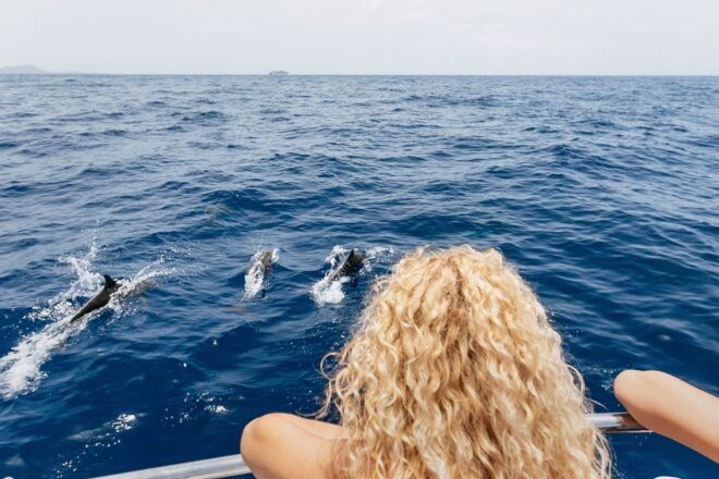 Costa Adeje: Whale Watching Catamaran Tour With Drinks - Inclusions
