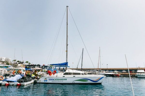 Costa Adeje: Whale Watching Catamaran Tour With Drinks - Directions