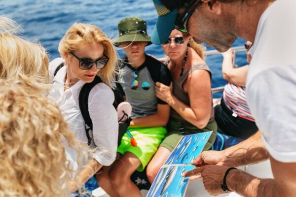 Costa Adeje: Whale Watching Catamaran Tour With Drinks - The Sum Up
