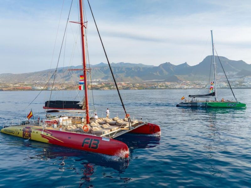 Costa Adeje: Whale Watching Cruise With Snack and Drinks - Good To Know