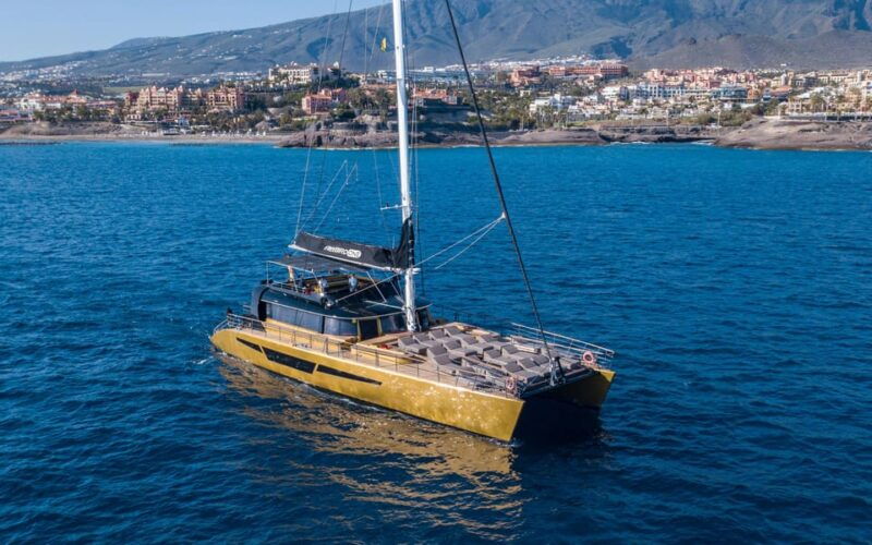 Costa Adeje: Whale Watching Cruise With Snack and Drinks - Booking Information