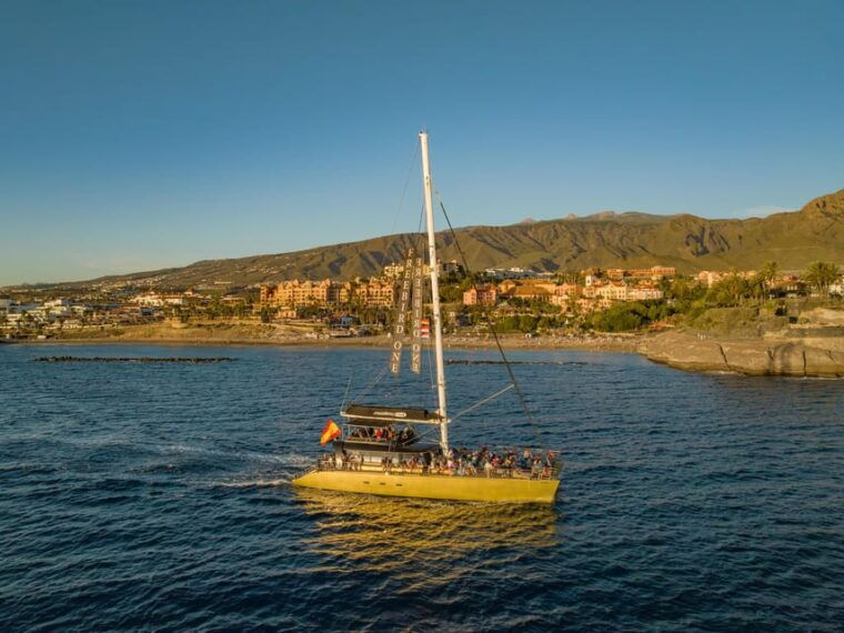 Costa Adeje: Whale Watching Cruise With Snack and Drinks - Customer Feedback