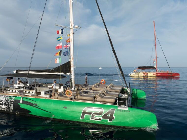 Costa Adeje: Whale Watching Cruise With Snack and Drinks - Recommended Items
