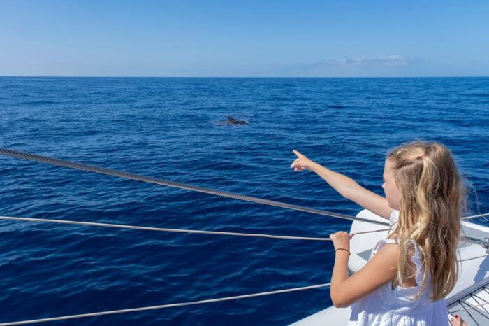 Costa Adeje: Whale Watching Cruise With Snack and Drinks - Food Options