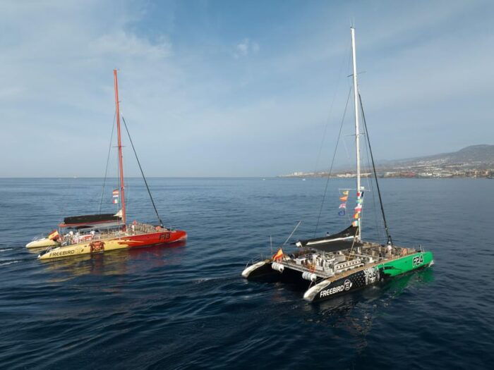 Costa Adeje: Whale Watching Cruise With Snack and Drinks - Additional Considerations