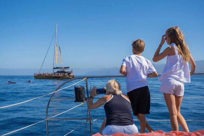 Costa Adeje: Whale Watching Cruise With Snack and Drinks - Frequently Asked Questions