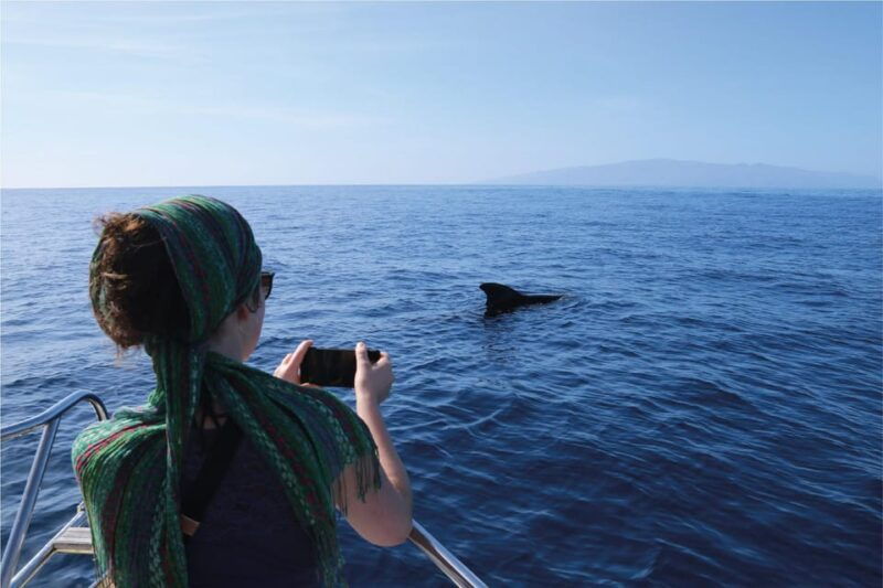 Costa Adeje: Whale Watching Eco Experience With Hydrophone. - Good To Know