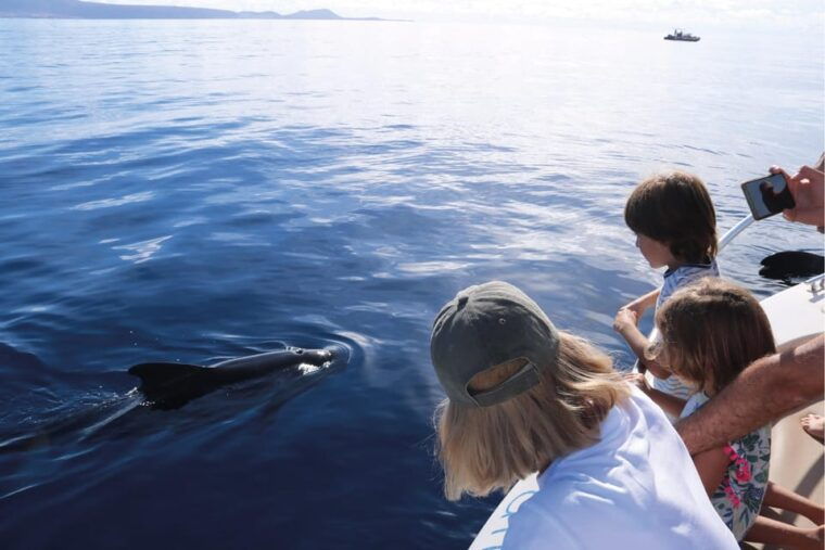 Costa Adeje: Whale Watching Eco Experience With Hydrophone. - Whale Watching Expertise