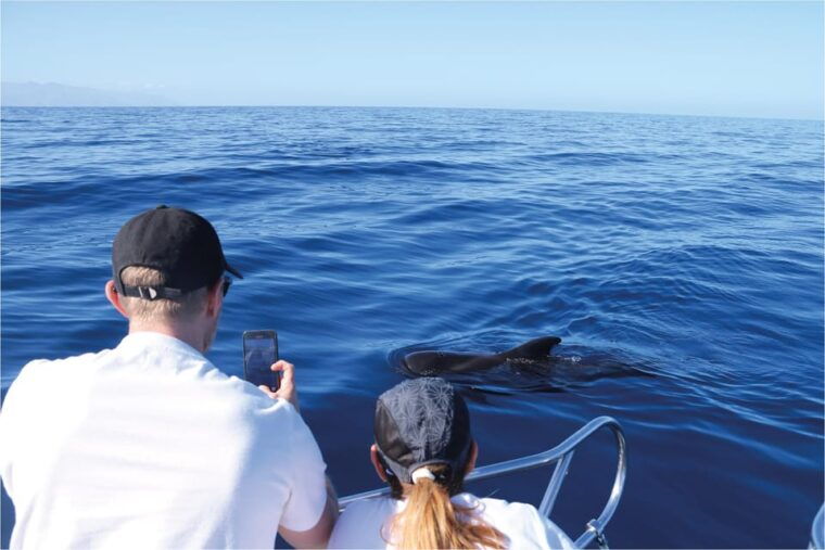 Costa Adeje: Whale Watching Eco Experience With Hydrophone. - Auditory Experience With Hydrophone