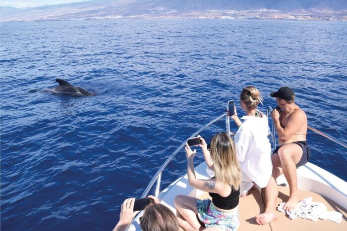 Costa Adeje: Whale Watching Eco Experience With Hydrophone. - Conservation Efforts