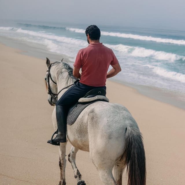 Costa Alentejana: Horse tour in Serra de Grândola - In Summary