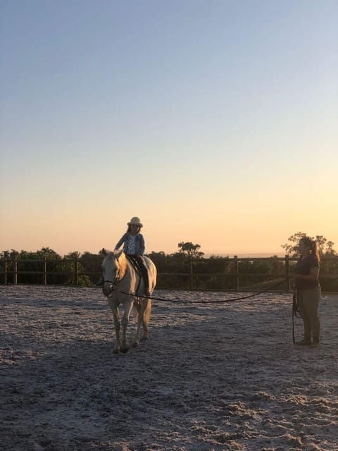 Costa Alentejana: Horse tour in Serra de Grândola - Who Will Love This Experience?